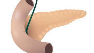 regeneracja trzustki